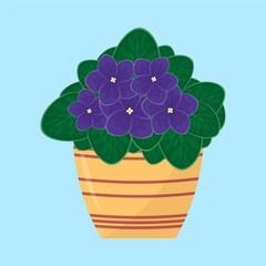 Violet flower in a pot. Vector illustration in cartoon style.
