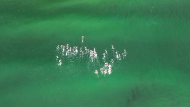 Competitors compete in an ocean swimming race at an Australian Surf Life Saving Championships. Drone view