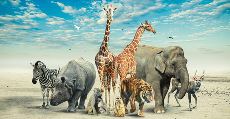 Large group of African safari animals together composited in a scene of the ground