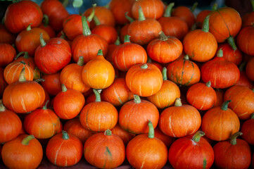 pile of pumpkins