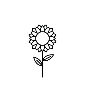 sun flower icon, vector best line icon.