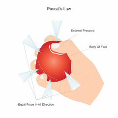Pascal's Law. Fluid Pressure Equality. - obrazy, fototapety, plakaty