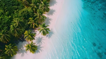 Beach top view 