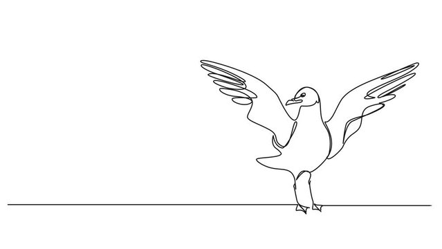 animated continuous single line drawing of standing seagull, wings spread, line art animation