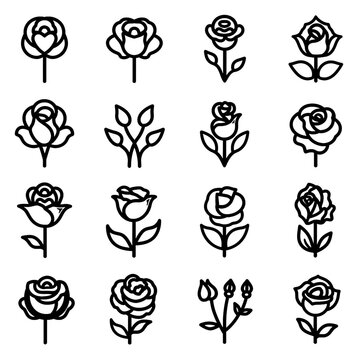 A set of roses in various styles and sizes
