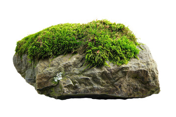 old grey rock with moss isolated on white or transparent png