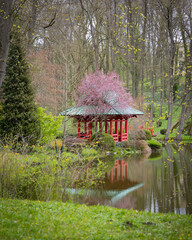 Ogród w stylu Japońskim w Parku Pałacu