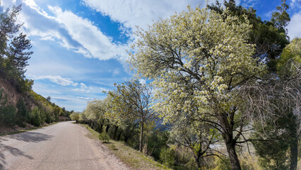 road in the mountains on a spring day