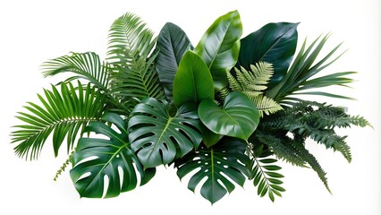 Green Tropical Plants Leaves 