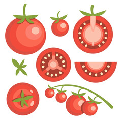 Vector set of isolated tomatoes. Food illustrations.