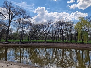 river bank in spring in a park in Ukraine