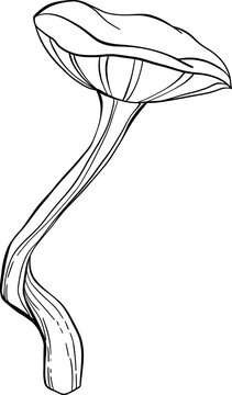 recommend clip art: Magic magic inedible mushroom illustration