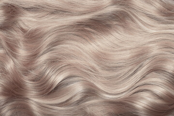 Blond hair close-up as a background. Women's long light brown hair. Beautifully styled wavy shiny...