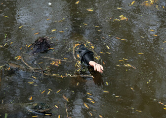Finding a doll's hand in the ditch