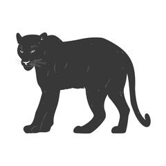 Silhouette panther animal black color only full body