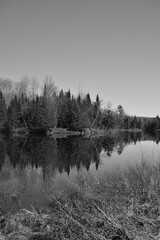 Marais Kingsbury Éclipse 8 Avril 2024 -  N&B