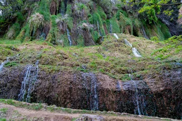 Zelfklevend Fotobehang Serene Waterfalls at Monasterio de Piedra Park © Fernando Cortés