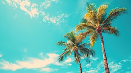 Palm trees against blue sky, Palm trees at tropical coast, vintage toned and stylized