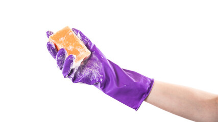 Hand in Purple Gloves Holding Sponge
