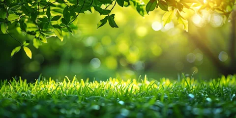 Gordijnen Serene Green Park Landscape with Lush Grass and Sunlight © smth.design