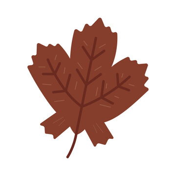 Maple Leaf Brown