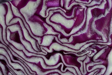 The pattern formed on a cross-section of a red onion closeup