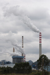 Several smoking chimneys in a thermal power plant