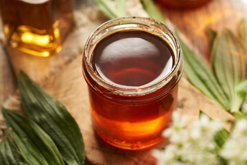 A jar of homemade herbal syrup for cough with fresh ribwort plantain leaves