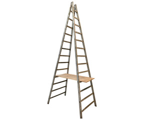 Image of Ladder
