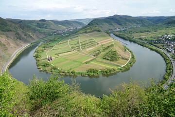  loop of Moselle River with vineyards near  near the village of Bremm                             