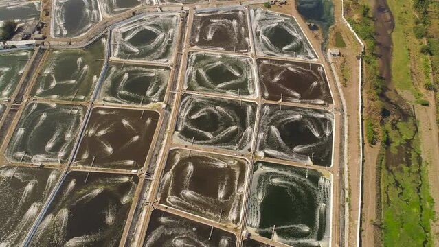 shrimp farm, prawn farming with with aerator pump oxygenation water near ocean. aerial view fish farm with ponds growing fish and shrimp and other seafood. Fish hatchery pond aerial view aquaculture