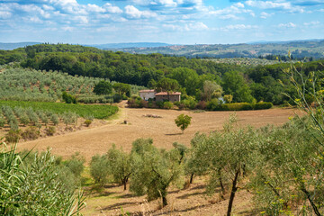 Fototapeta na wymiar Rural landscape of Chianti, Tuscany, Italy