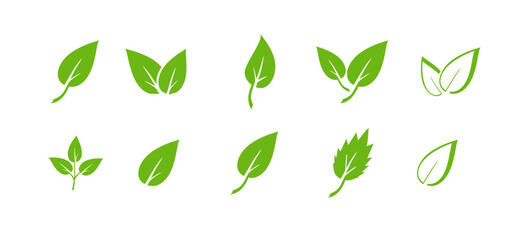 Green leaf icons set. Elements design for natural, eco, vegan. Leaves icon on isolated background. Collection green leaf. Vector