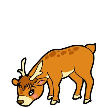 deer cartoon vector style motion