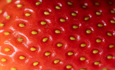 Detailed Surface shot of a Fresh Ripe red Strawberry. Close-up of a fresh strawberry surface