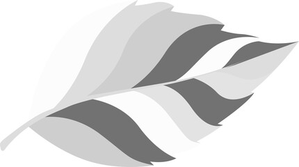Black and white variety of tropical and forest leaves. illustration isolated on transparent, png. modern style