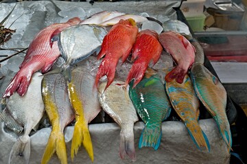 Selling fish at the Filipino market in Kota Kinabalu. Sabah. Borneo island. Malaysia.