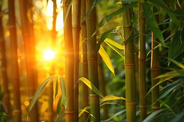 A close up of a bamboo forest with the sun shining through, AI