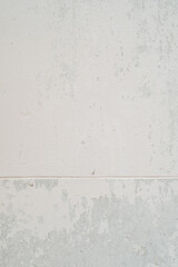 Black and White Cat Sitting on White Wall