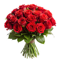 Obraz premium quality bouquet of red roses isolated