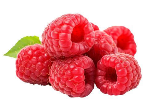 Ripe group of raspberries fruit isolated on transparent background cutout, PNG file.