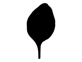 Spinach leaf silhouette vector art