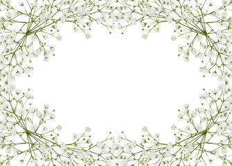 Gypsophila flowers in a floral frame isolated on white or transparent background - obrazy, fototapety, plakaty