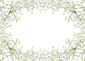 Gardinen Gypsophila flowers in a floral frame isolated on white or transparent background © Ortis