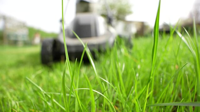 A man mows his lawn with an electric lawn mower. Electric lawn mower close-up.