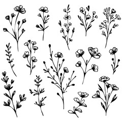A set of black and white drawings of flowers. The flowers are drawn in a variety of styles and sizes, and they are arranged in a grid pattern