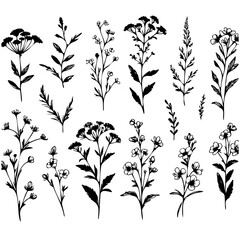 A collection of black and white flowers. The flowers are arranged in a row and are of various sizes. The flowers are all different types and are spread out across the image
