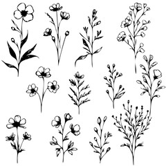 A set of black and white drawings of flowers. The flowers are all different sizes and shapes, but they all have a similar style. Scene is calm and peaceful, as the flowers are depicted in a simple
