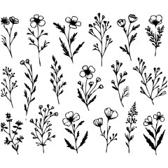 A collection of black and white flowers drawn in pencil. The flowers are arranged in a grid pattern, with some overlapping and others standing alone