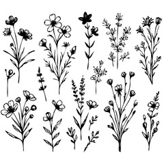 A set of black and white drawings of flowers. The flowers are drawn in various sizes and styles, with some appearing more delicate and others more bold. The overall mood of the images is serene
